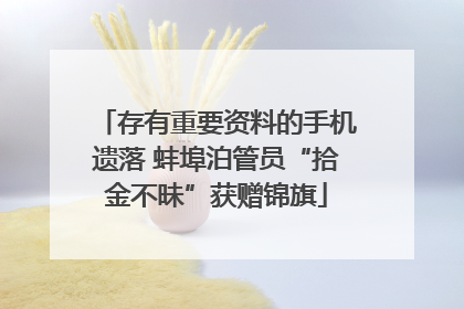 存有重要资料的手机遗落 蚌埠泊管员“拾金不昧”获赠锦旗