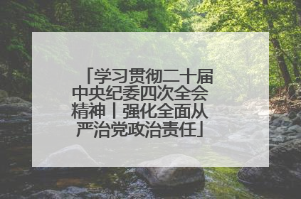 学习贯彻二十届中央纪委四次全会精神丨强化全面从严治党政治责任