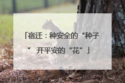 宿迁：种安全的“种子” 开平安的“花”