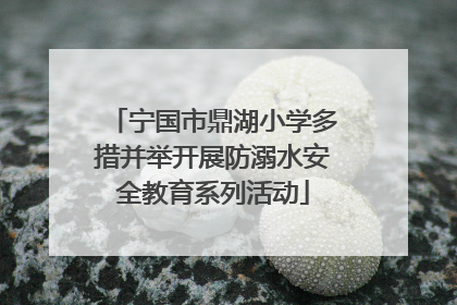 宁国市鼎湖小学多措并举开展防溺水安全教育系列活动