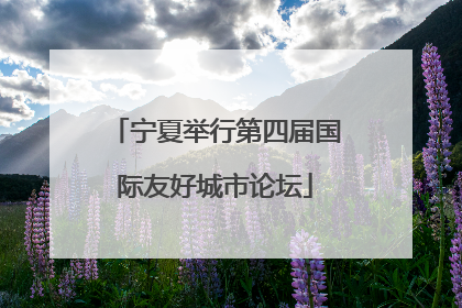 宁夏举行第四届国际友好城市论坛