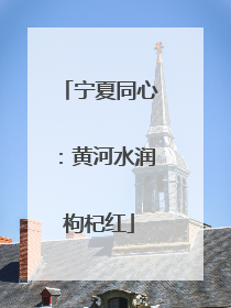 宁夏同心：黄河水润枸杞红
