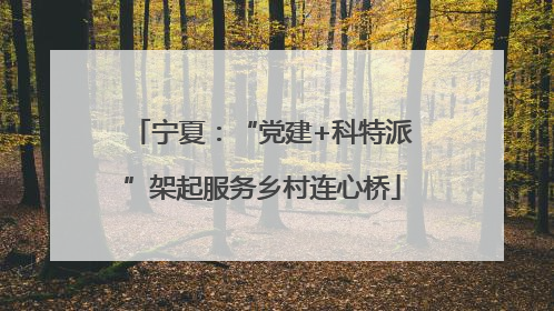 宁夏：“党建+科特派”架起服务乡村连心桥