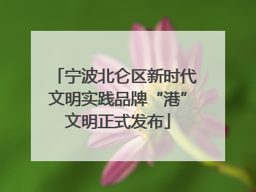 宁波北仑区新时代文明实践品牌“港”文明正式发布