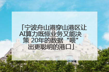 宁波舟山港穿山港区让AI算力既懂业务又能决策 20年的数据“喂”出更聪明的港口