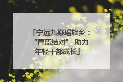 宁远九疑瑶族乡：“青蓝结对” 助力年轻干部成长