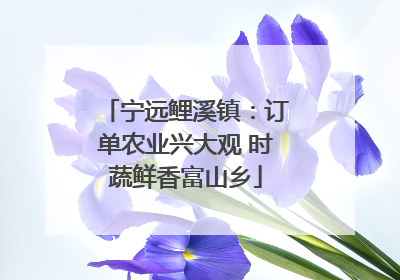 宁远鲤溪镇：订单农业兴大观 时蔬鲜香富山乡