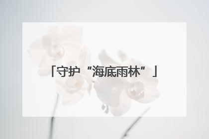 守护“海底雨林”