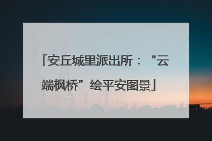 安丘城里派出所：“云端枫桥”绘平安图景