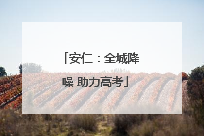 安仁：全城降噪 助力高考