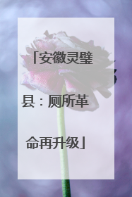 安徽灵璧县：厕所革命再升级