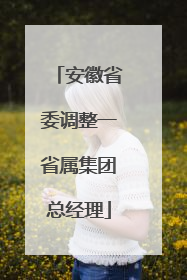 安徽省委调整一省属集团总经理