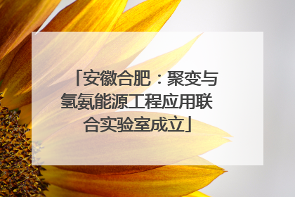 安徽合肥：聚变与氢氨能源工程应用联合实验室成立