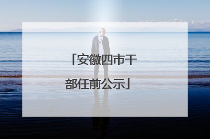 安徽四市干部任前公示