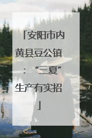 安阳市内黄县豆公镇：“三夏”生产有实招