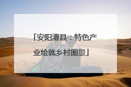 安阳滑县：特色产业绘就乡村图景