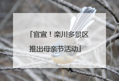 官宣！栾川多景区推出母亲节活动