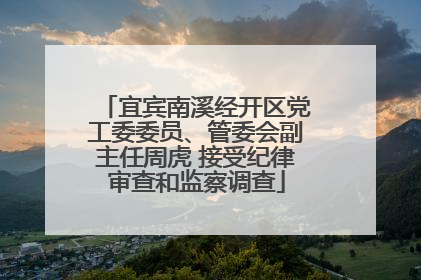 宜宾南溪经开区党工委委员、管委会副主任周虎 接受纪律审查和监察调查