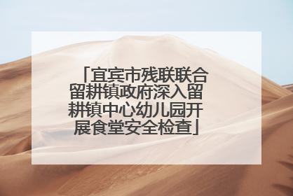 宜宾市残联联合留耕镇政府深入留耕镇中心幼儿园开展食堂安全检查