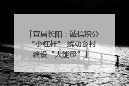 宜昌长阳：诚信积分“小杠杆” 撬动乡村建设“大能量”