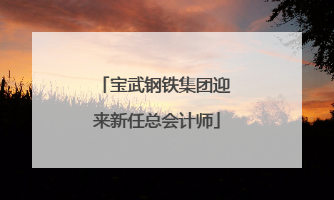 宝武钢铁集团迎来新任总会计师