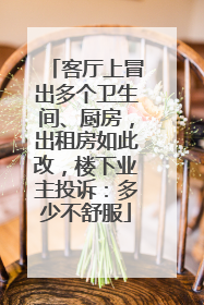 客厅上冒出多个卫生间、厨房，出租房如此改，楼下业主投诉：多少不舒服
