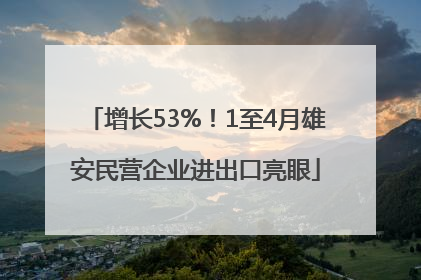 增长53%！1至4月雄安民营企业进出口亮眼
