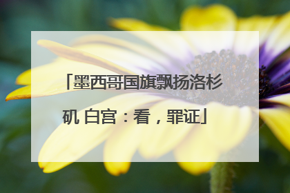 墨西哥国旗飘扬洛杉矶 白宫：看，罪证