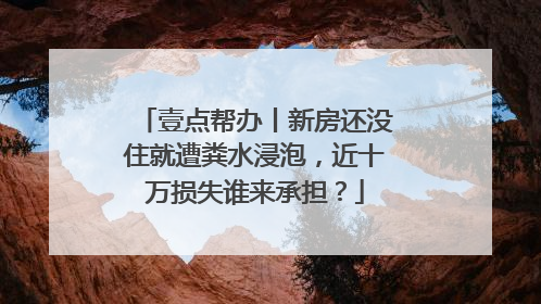 壹点帮办丨新房还没住就遭粪水浸泡，近十万损失谁来承担？