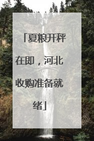 夏粮开秤在即，河北收购准备就绪