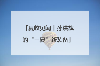 夏收见闻丨孙洪旗的“三夏”新装备