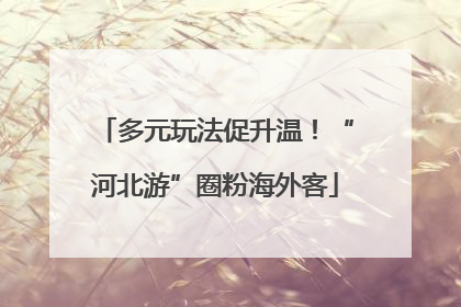 多元玩法促升温！“河北游”圈粉海外客