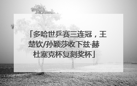 多哈世乒赛三连冠，王楚钦/孙颖莎收下兹·赫杜塞克杯复刻奖杯