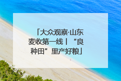 大众观察·山东麦收第一线丨“良种田”里产好粮