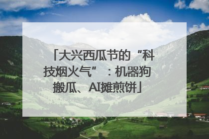 大兴西瓜节的“科技烟火气”：机器狗搬瓜、AI摊煎饼