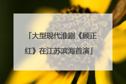 大型现代淮剧《顾正红》在江苏滨海首演