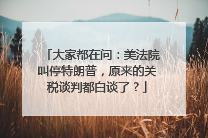 大家都在问：美法院叫停特朗普，原来的关税谈判都白谈了？