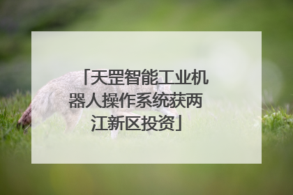 天罡智能工业机器人操作系统获两江新区投资