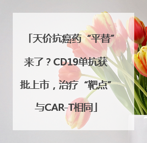 天价抗癌药“平替”来了？CD19单抗获批上市，治疗“靶点”与CAR-T相同