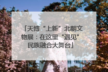 天博“上新”北朝文物展：在这里“遇见”民族融合大舞台