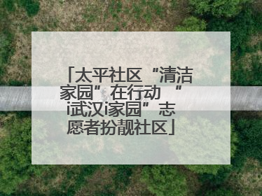 太平社区“清洁家园”在行动 “i武汉i家园”志愿者扮靓社区