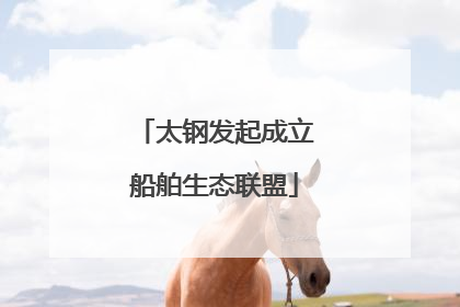 太钢发起成立船舶生态联盟