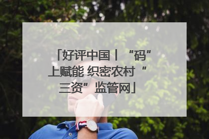 好评中国丨“码”上赋能 织密农村“三资”监管网