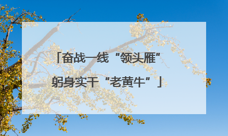 奋战一线“领头雁” 躬身实干“老黄牛”