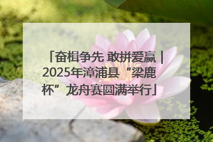 奋楫争先 敢拼爱赢｜2025年漳浦县“梁鹿杯”龙舟赛圆满举行