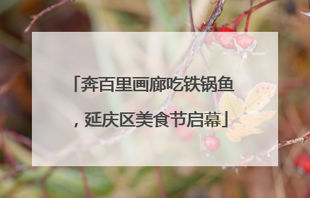 奔百里画廊吃铁锅鱼，延庆区美食节启幕