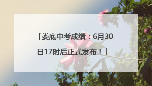 娄底中考成绩：6月30日17时后正式发布！