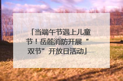 当端午节遇上儿童节！岳麓消防开展“双节”开放日活动