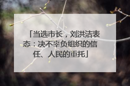 当选市长，刘洪洁表态：决不辜负组织的信任、人民的重托