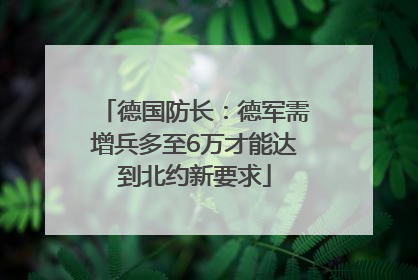 德国防长：德军需增兵多至6万才能达到北约新要求